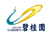 衢江碧桂园地产